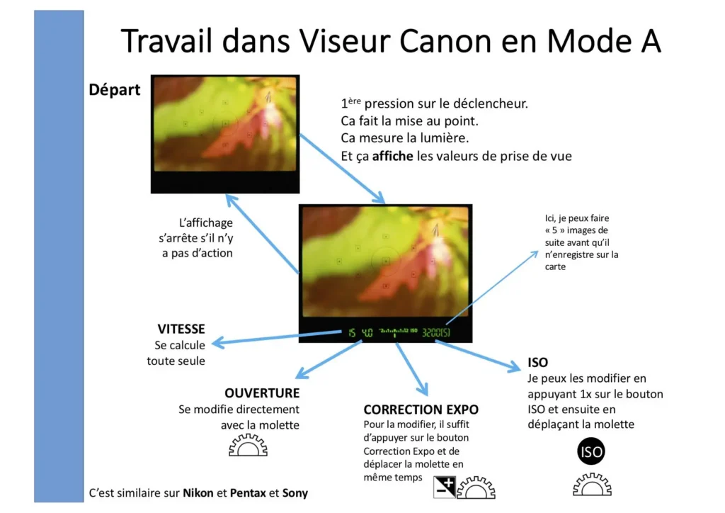 Le travail au viseur
