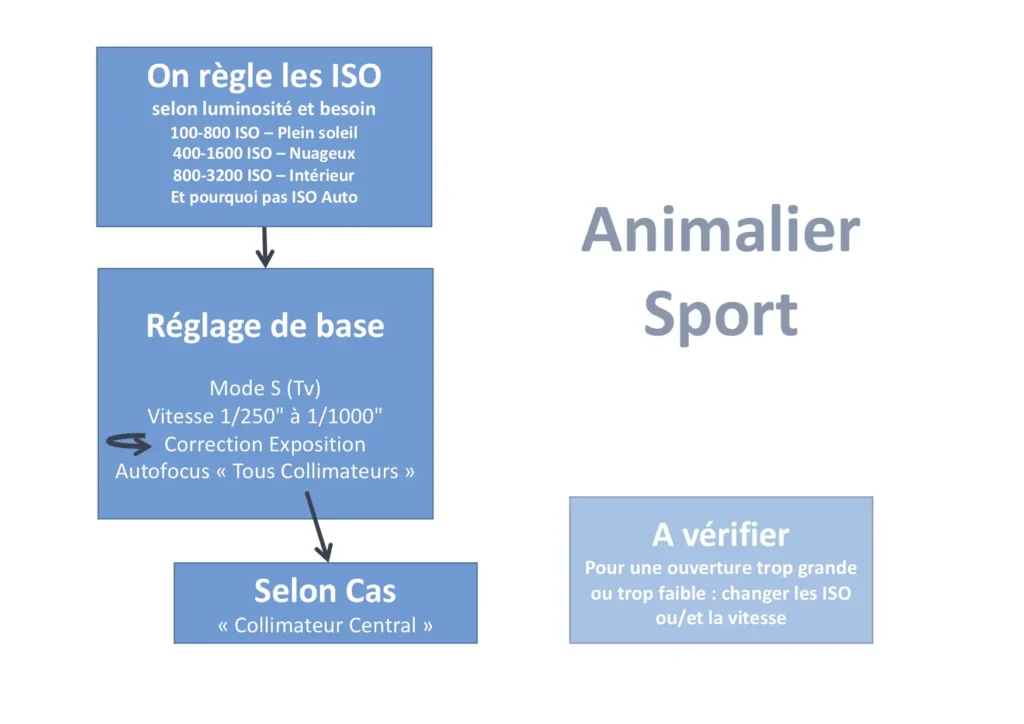 R3 - Technique Réglages Sport ou Animalier